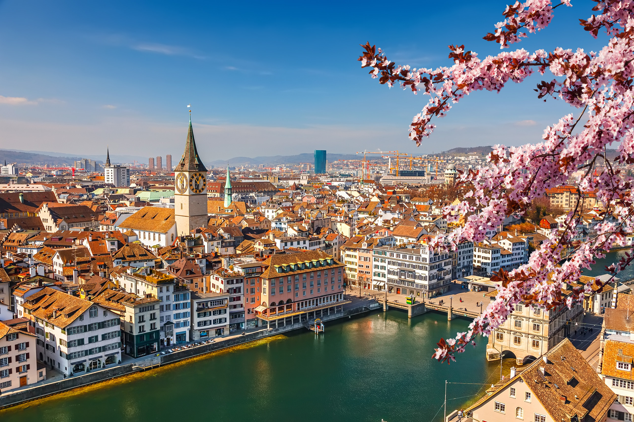 Blick über Zürich bei blauen Himmel und Frühlingswetter. Von der Seite hängen einige Äste mit rosa Blüten ins Bild